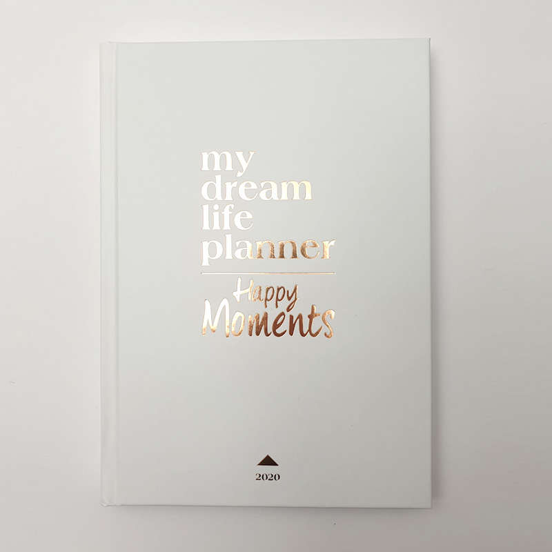my-dream-life-planner-2020-blanche
